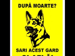 Semn exista viata dupa moarte sari acest gard si afla